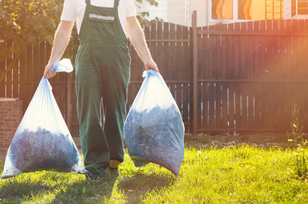 Best Dumpster Rental Services  in Knob Noster, MO